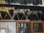 Senior Trail at the 2026 NSBA World Championship Show