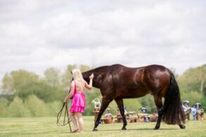In Loving Memory of RR Magical Moonlite, “Mouse”