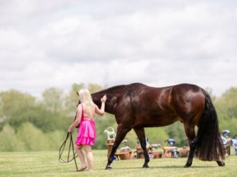 In Loving Memory of RR Magical Moonlite, “Mouse”