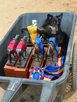 EC Photo of the Day: Trophy Hound