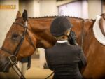 Who is Coming Back for the L3 Hunt Seat Eq 14-18 Finals at 2026 AQHYA World?