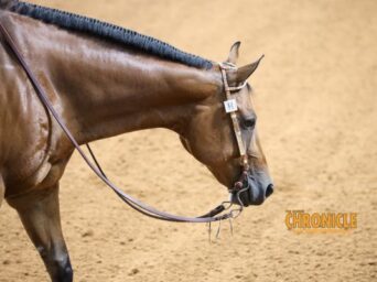 Who is Returning Thursday for the L3 Horsemanship 14-18 Finals?