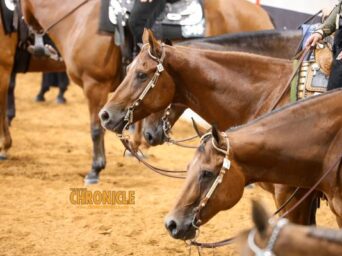 Who is Returning Wednesday for the AQHYA World Show Western Pleasure 14-18 L3 Finals?