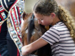 Around the Rings: 2026 AQHYA World Championship Show