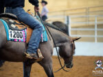 Around the Rings: 2026 NSBA World Championship Show
