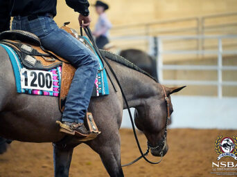 Around the Rings: 2026 NSBA World Championship Show