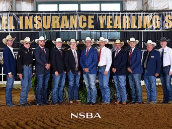 Next Generation Takes Center Stage at Markel Insurance BCF Yearling Sale
