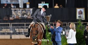 June Warren Memorial Award Honors Excellence In Hunter Under Saddle