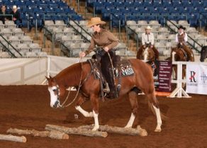 EC Photo of the Day: Essential to Success