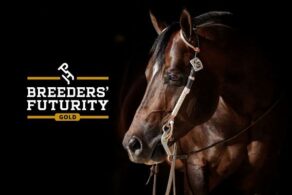 VQH Heart Stoppin defends 2026 Breeders’ Futurity Leading Performance Sire Title