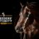 VQH Heart Stoppin defends 2026 Breeders’ Futurity Leading Performance Sire Title