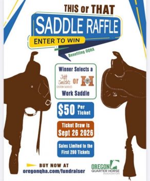 2026 This or That Saddle Raffle from Oregon QHA