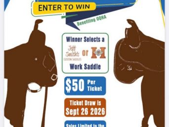 2026 This or That Saddle Raffle from Oregon QHA