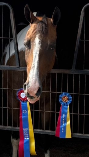 EC Photo of the Day: Sheza Sudden Simon