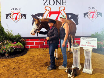 Around the Rings – 2026 APHA Zone 7 NE Connection Show