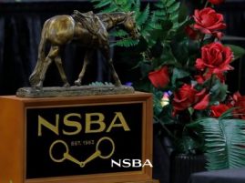 NSBA World Championship Show Celebrates Excellence