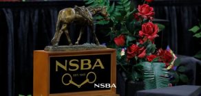 NSBA World Championship Show Celebrates Excellence