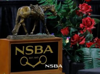 NSBA World Championship Show Celebrates Excellence