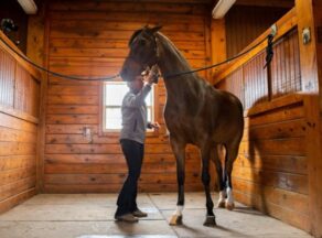 When the Mood Strikes: Mare Behavior Studied