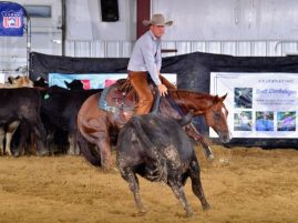 EC Photo of the Day: Bridleless Cutting on Friday, October 2nd