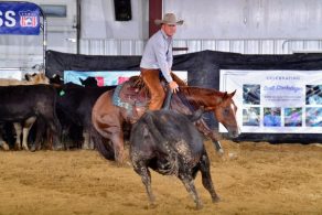 EC Photo of the Day: Bridleless Cutting on Friday, October 2nd