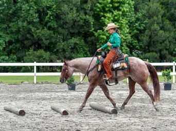 2026 Ranch Horse Results from Q-Data: Big A, Pinto World, and East Coast Showdown