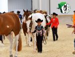 Around the Rings–2026 APHA Zone 9 Fall Cash Classic