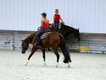 World Equestrian Center – Ocala Live Stream