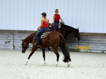 World Equestrian Center – Ocala Live Stream