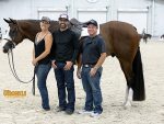 Around the Rings: The Championship Show 2026 & APHA Zone 9 Fall Cash Classic at WEC-Ocala