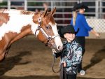 Illinois PHA 2026 POR/Gordyville All Breed Open Show