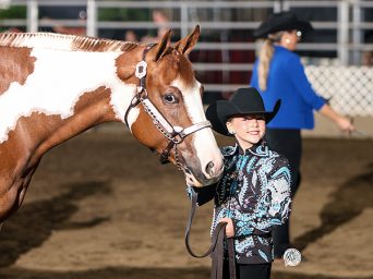 Illinois PHA 2026 POR/Gordyville All Breed Open Show