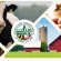 Register Now for the Inaugural Equine Conservation Summit on November 14