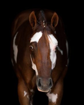 EC Photo of the Day: Beauty Defined