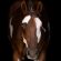 EC Photo of the Day: Beauty Defined