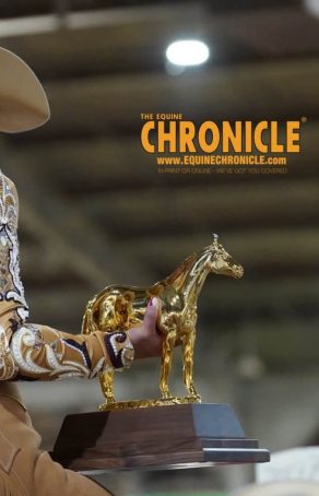 AQHA Announces Medication Updates for Cetirizine and Acetazolamide