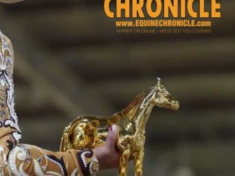 AQHA Announces Medication Updates for Cetirizine and Acetazolamide