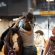 EC Photo of the Day: The Horse