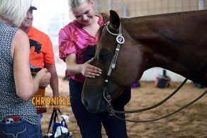NC Lawmakers Mandate Excused Absences for Students Who Ride or Work on a Farm
