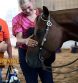 NC Lawmakers Mandate Excused Absences for Students Who Ride or Work on a Farm