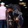 EC Photo of the Day: You and Your Horse