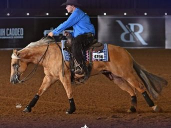 2026 Reining Results from Q-Data: 100X Reining Classic