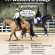 Lynn Palm to Present Discover Dressage and Western Dressage at All American Quarter Horse Congress