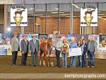 The Breeders Halter Futurity 2026 Recap: Tuesday, September 15th