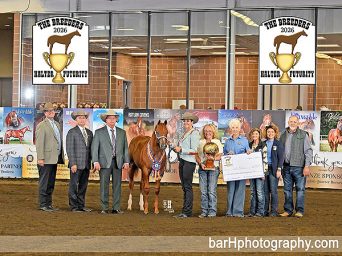 The Breeders Halter Futurity 2026 Recap: Tuesday, September 15th