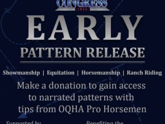 QH Congress Early Pattern Release: Make a Donation to OQHF Crisis Fund