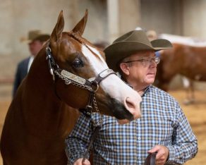 Stalling Maps for 2026 APHA/WCHA Halter Million