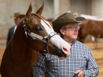 Stalling Maps for 2026 APHA/WCHA Halter Million
