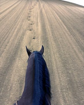 EC Photos of the Day: The First Hoofprints in the New CINCH Arena