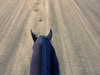 EC Photos of the Day: The First Hoofprints in the New CINCH Arena
